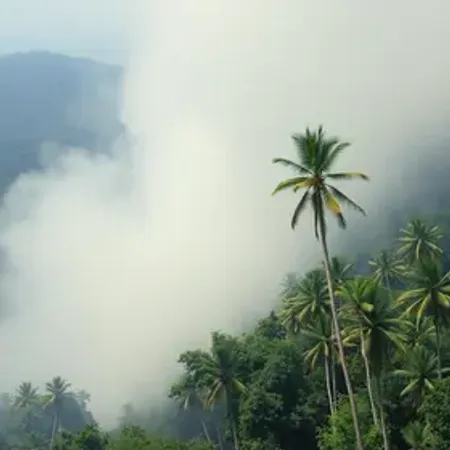 Calor extremo em MT: Alerta vermelho do Inmet e suas consequências