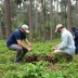 Curso fortalece qualificação do setor florestal e reúne profissionais em Nova Monte Verde