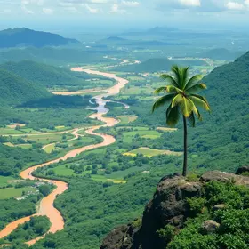 Negociação de dívidas cresce 33% em MT entre maio e agosto, aponta Serasa