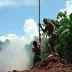 Execução de réu em MT: vídeo impactante choca a todos
