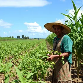 Mato Grosso AgroFestival é sucesso e coloca Cuiabá no centro da cultura e do agronegócio
