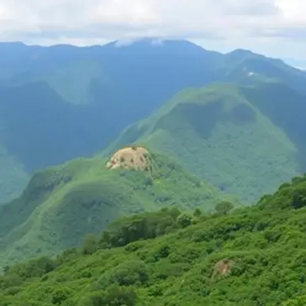 Natter abre vagas em Alta Floresta com salários de até R$ 9 mil