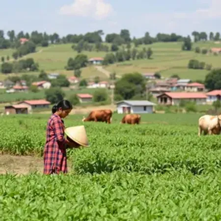 "Investir na agricultura familiar é fortalecer os municípios", diz secretária
