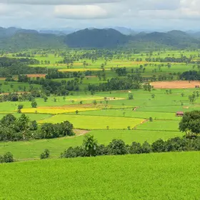 Mato Grosso fecha 2025 com R$ 165,6 bilhões na produção agrícola