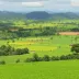 Mato Grosso fecha 2025 com R$ 165,6 bilhões na produção agrícola