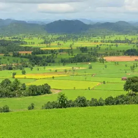 Mato Grosso fecha 2025 com R$ 165,6 bilhões na produção agrícola