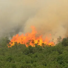 Enfrentando incêndios: Projetos inovadores do MP e CB em Mato Grosso