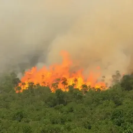 Enfrentando incêndios: Projetos inovadores do MP e CB em Mato Grosso