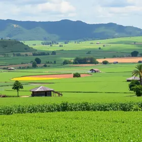 Como o agronegócio de MT prosperou nas gestões Lula e Dilma
