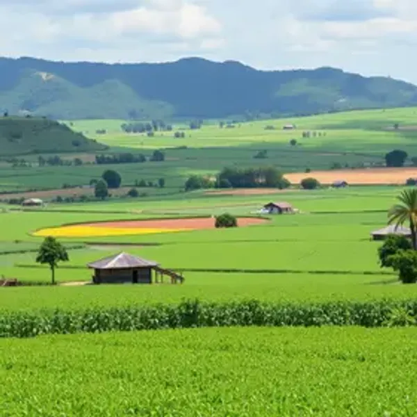 Como o agronegócio de MT prosperou nas gestões Lula e Dilma