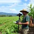 Parceria jornalística destaca força e expansão do agronegócio na região de Alta Floresta