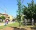 Cuiab� planta 150 mudas de �rvores no bairro Pedra 90...