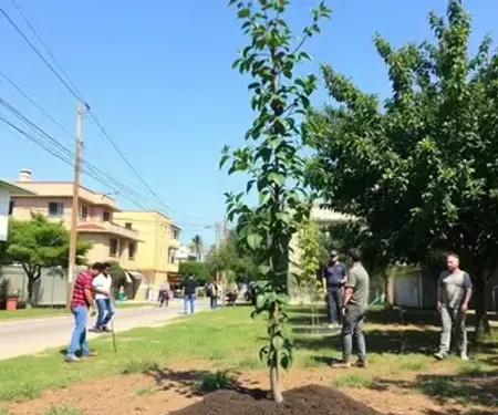 Cuiab� planta 150 mudas de �rvores no bairro Pedra 90...