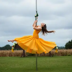 Dançarina faz apresentação de pole dance em funeral...