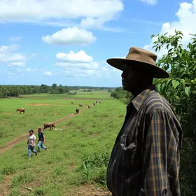 Grileiros e advogada invadem fazenda em MT e são detidos