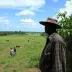 Grileiros e advogada invadem fazenda em MT e são detidos