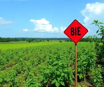 Sema impõe multa de R$ 52,6 mil a gigante do agro por irregularidade