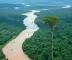 Governo aplica R$ 86,8 milhões em multas durante Operação Abafa Amazônia II