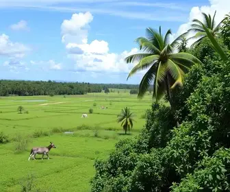Recursos para Saúde e Segurança em Mato Grosso: O que Esperar?