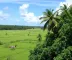 Recursos para Saúde e Segurança em Mato Grosso: O que Esperar?