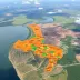 Municípios apresentam propostas para acordo sobre divisa entre Mato Grosso e Pará