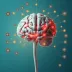 Como a conexão intestino-cérebro impacta sua saúde mental