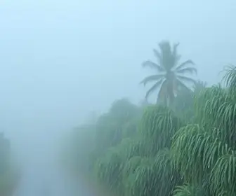 Previsão de chuvas intensas e ventos fortes em MT
