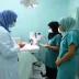 Representantes do Ministério da Saúde fazem visita técnica ao hospital Cynthia Charone, referência em oftalmologia no Pará