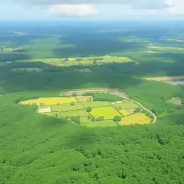 Compromisso com o meio ambiente: Conheça as ações do Poder Judiciário de Mato Grosso