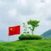 Brasil e China discutem cooperação em mercado de carbono e ecologia