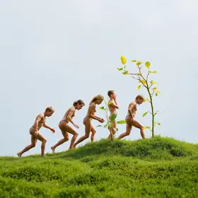 Evolução óbvia
