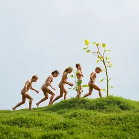 Evolução óbvia