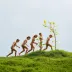 Evolução óbvia