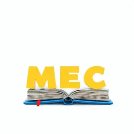 MEC apresenta Cadernos Pedagógicos da Educação Especial