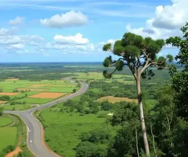 Mato Grosso: Lições Além das Urnas e Seu Futuro Promissor